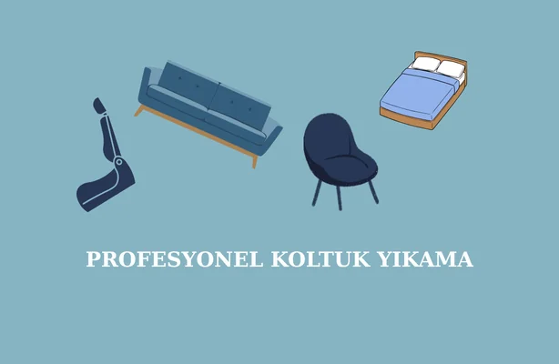 Profesyonel Koltuk Yıkama