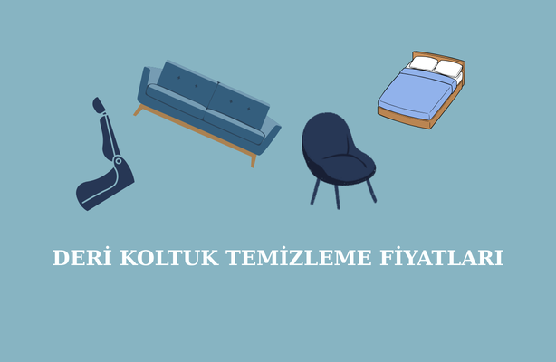 deri-koltuk-temizleme-fiyat