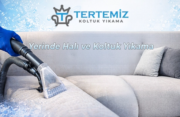 Yerinde Halı ve Koltuk Yıkama