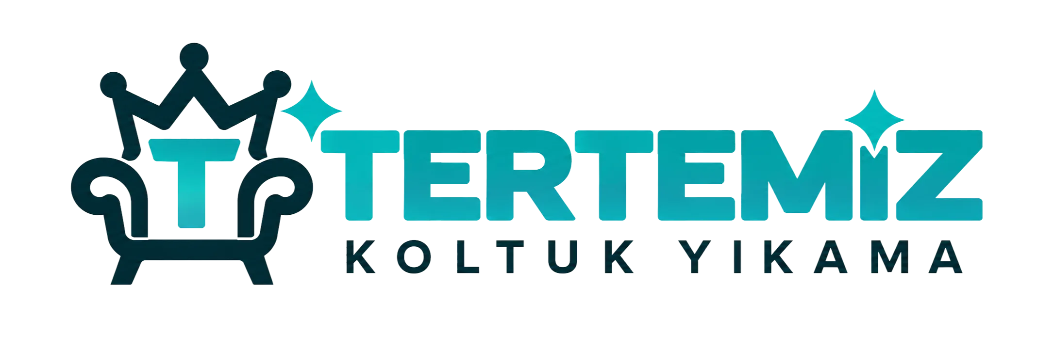 TERTEMİZ KOLTUK YIKAMA •  FOOTER LOGO - LOGO